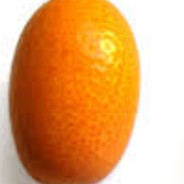 Kumquat