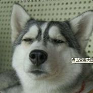 在下宋义雪，未请教