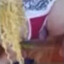 pancit canton