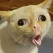 被虐一时爽·一直被虐一直爽