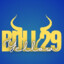 bull29