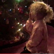 Self-discipine Shrimp