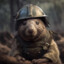 KombatWombat