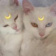 ;;;;; - steam id 76561197960466893