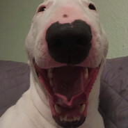 walter walter walter