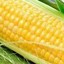 CornWorld