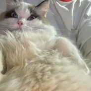 哎，哪打的我？