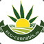 eco-cannabis