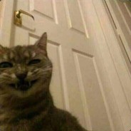 黑化肥会发灰花会回飞