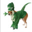 Dino dog