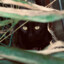 ✪Wayne