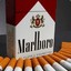 ＭＡＲＬＢＯＲＯ