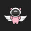 SpacePig