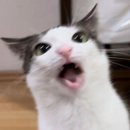 )