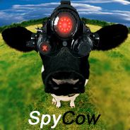 spycow77 avatar