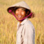 Rice Farmer Chen
