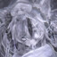 DoomsdayLegend7