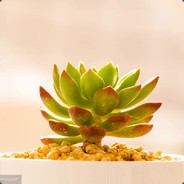 jie娘们不像好人啊