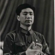 王洪文（打赢走资派版）