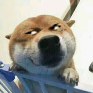 骑着蚂蚁去看海