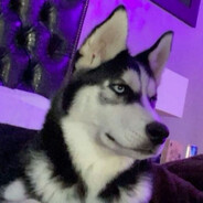 𝐏𝐞𝐫𝐫𝐨𝐬 𝐁