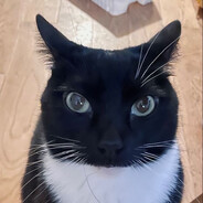 Wioldy's avatar