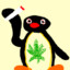 Pingu_on_Weed