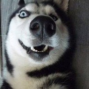 新大陸の古龍獵人——蒼藍星