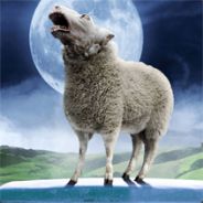 Muino Ikuturso - steam id 76561197964491387