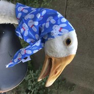 高考状元陈蝶衣