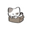 BONGO CAT