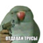 VooDooPe0pl3