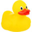 Ducky