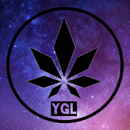 YoiGreenLawyer