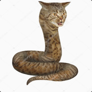 Snake-Cat