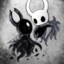 hollow knight