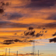 翻斗花园牛爷爷