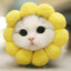 Meow ;3