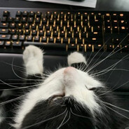 meo