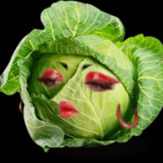 Cabbage