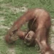 红旗幼儿园第一德邦