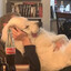 Dog Dog