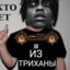 яизТРИХАНЫ