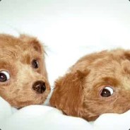 是我站得不够高吗