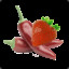 Strawberries N&#039; Peppers