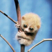 трясутся руки после спайса