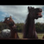 Anaemic Stallion
