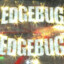 EDGEBUG