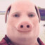 John Pork