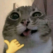 d0b3g - steam id 76561199784859278